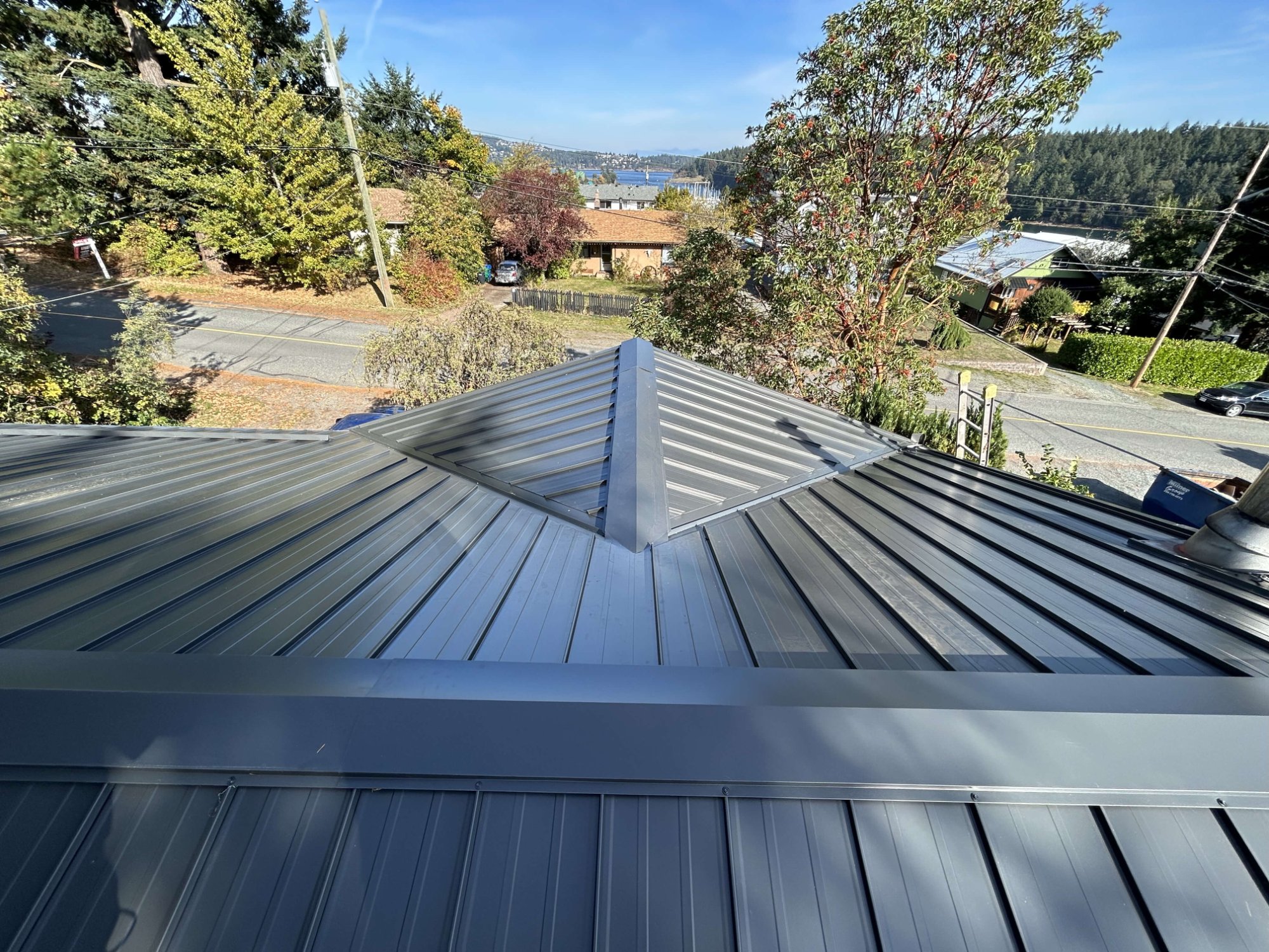 BC mountains and forested landscape — Vancouver Island